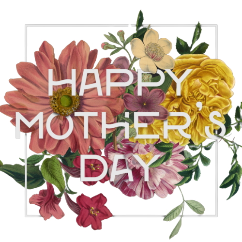 Mother's Day Special